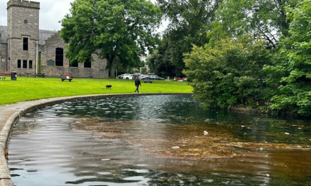 Potential algae at Cooper Park in Elgin with library building behind.