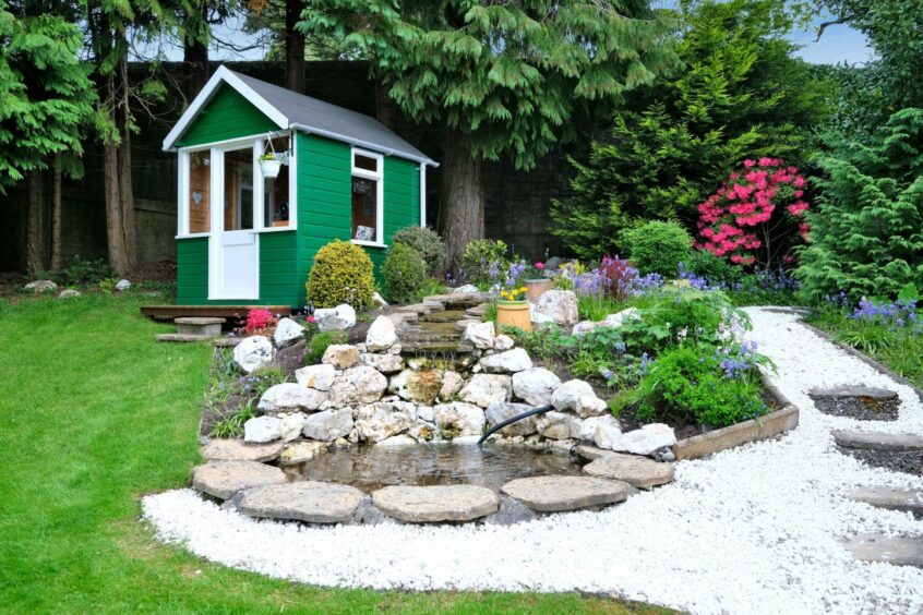 Lush back garden with shed and water feature.