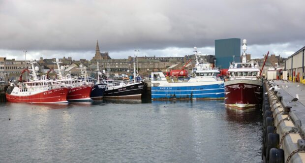 Peterhead Port where fish landings have been strong.