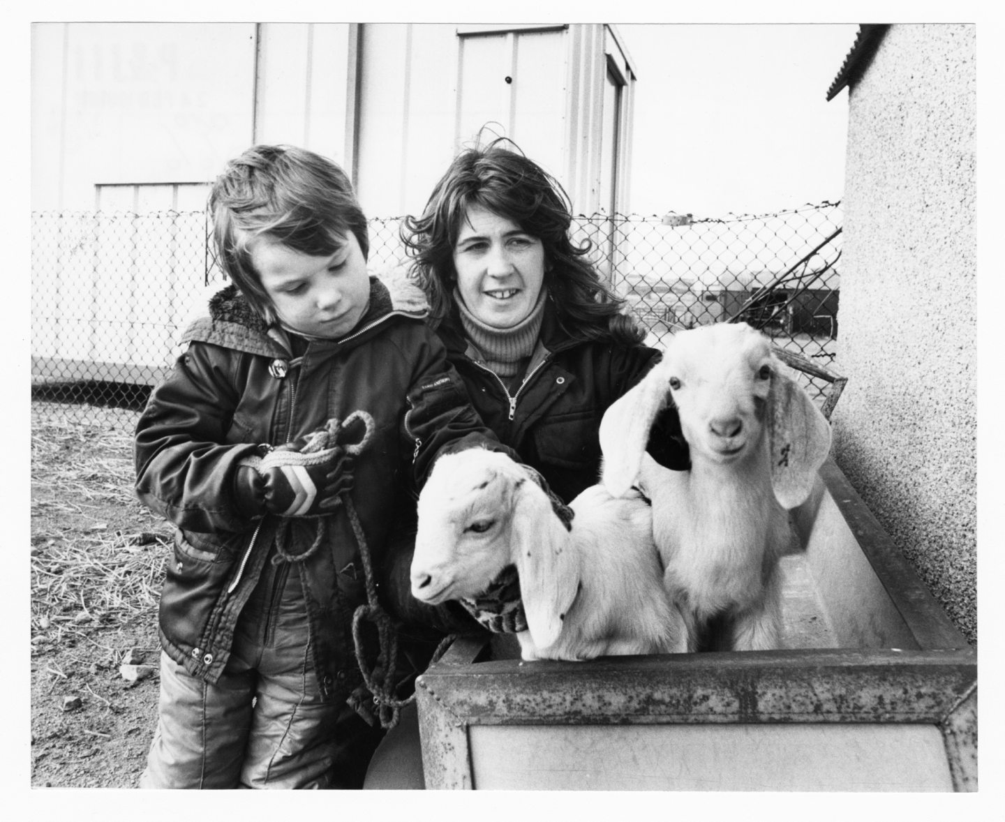 Woman and son pet babt goats Sir and Missy in 1981.