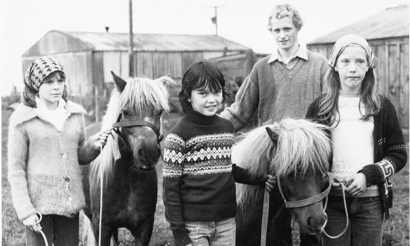 Don and Dee the Shetland ponies with four youngsters at Doonies Rare Breeds Farm in 1979.