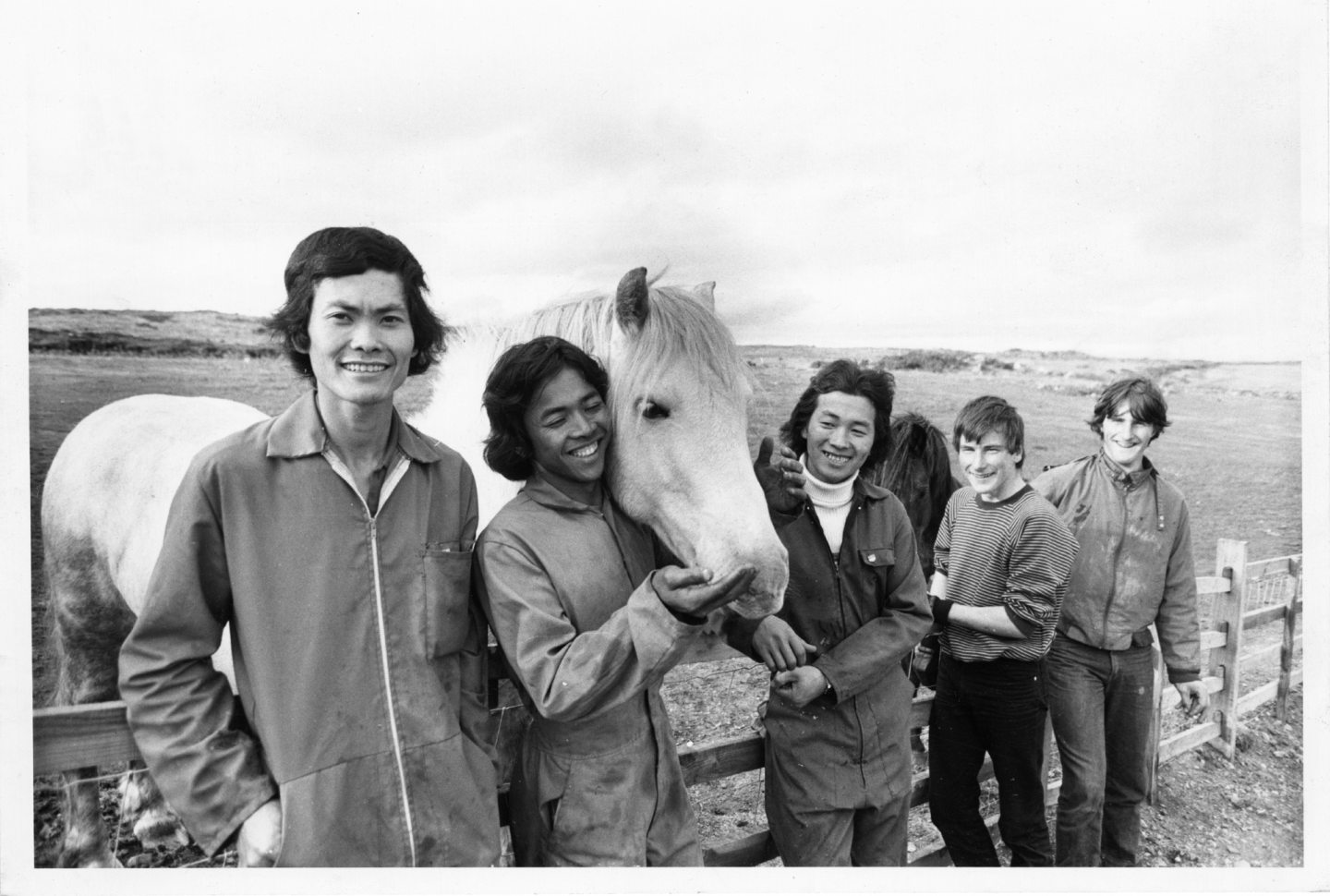Two Vietnamese refugees pose with Prince the horse and two Aberdeen boys at Doonies Rare Breeds Farm in 1983.