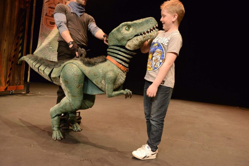 A young boy meeting a small dinosaur