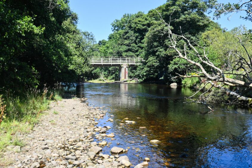 The bridge is surrounded by trees as the River Lossie flows below. 