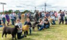 The line-up for champion sheep judging at Keith Show last year.