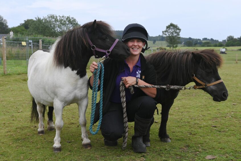 Picture of Laura with Shetland ponies. 