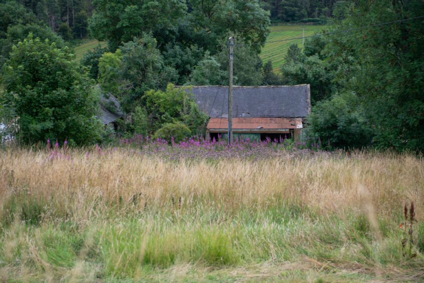 A derelict barn sits among the tree line in Inverurie.