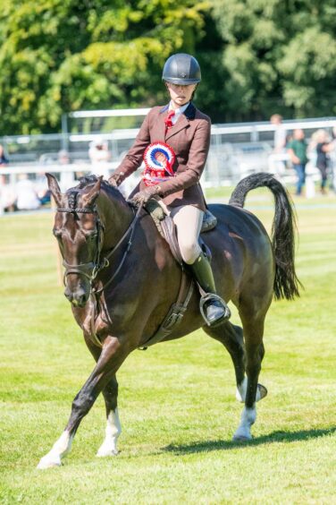 Horse rider at the Turriff Show