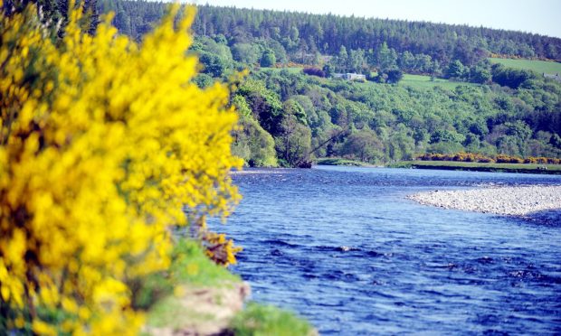 River Spey.