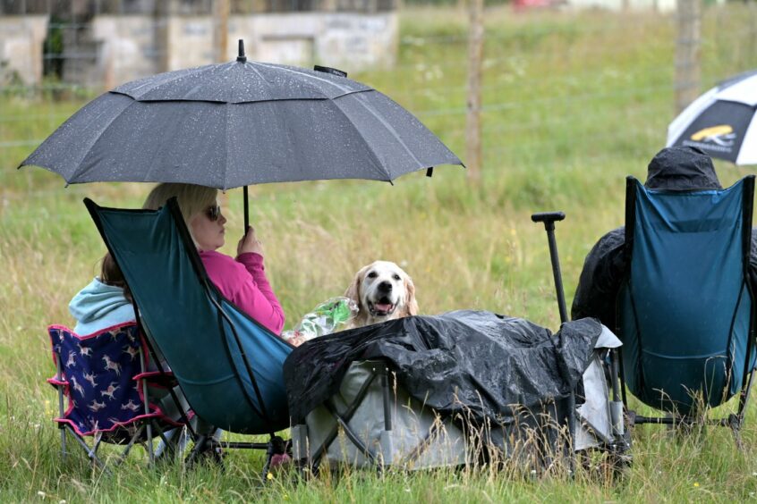 Individuals sit in camping chairs holding an umbrella during heavy rain showers as a golden retriever watches on.