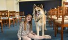 Enjoying her time with Bobo the bereavement support dog is eight-year-old Emily Redmond. Picture by Sandy McCook/DC Thomson