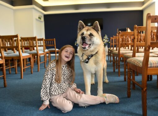Enjoying her time with Bobo the bereavement support dog is eight-year-old Emily Redmond. Picture by Sandy McCook/DC Thomson