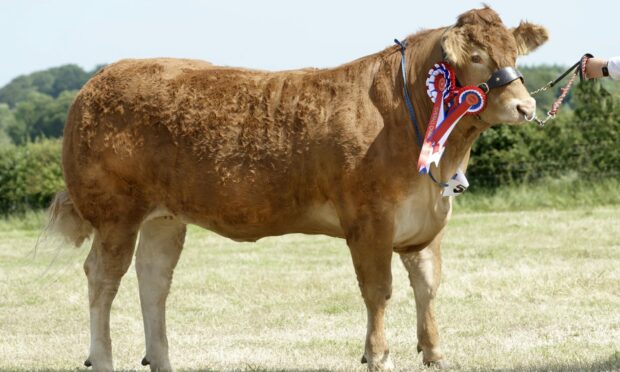 The Limousin leader from Aileen Ritchie went on to claim the champion of champions title.