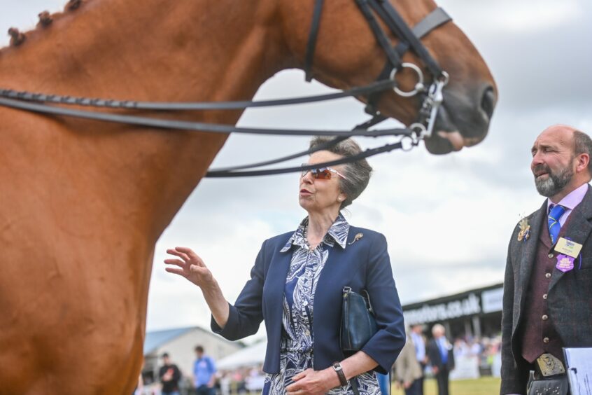 Princess Anne inspects a horse, with a man standing next to her.