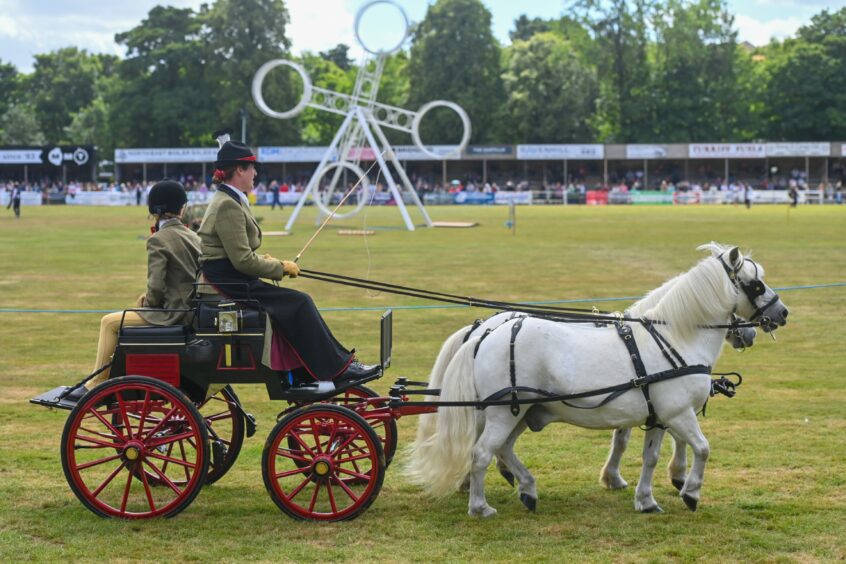 Horse getting pulled by two people on cart.