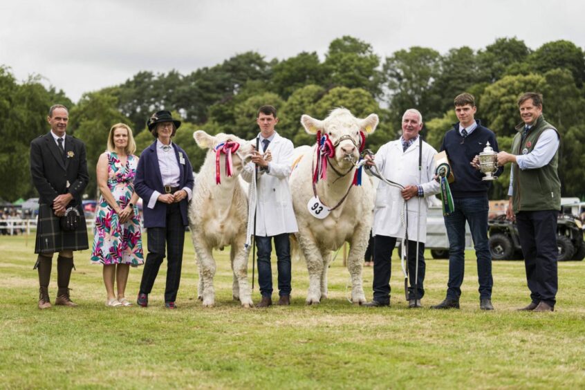 Cattle being judged at Turriff Show. 