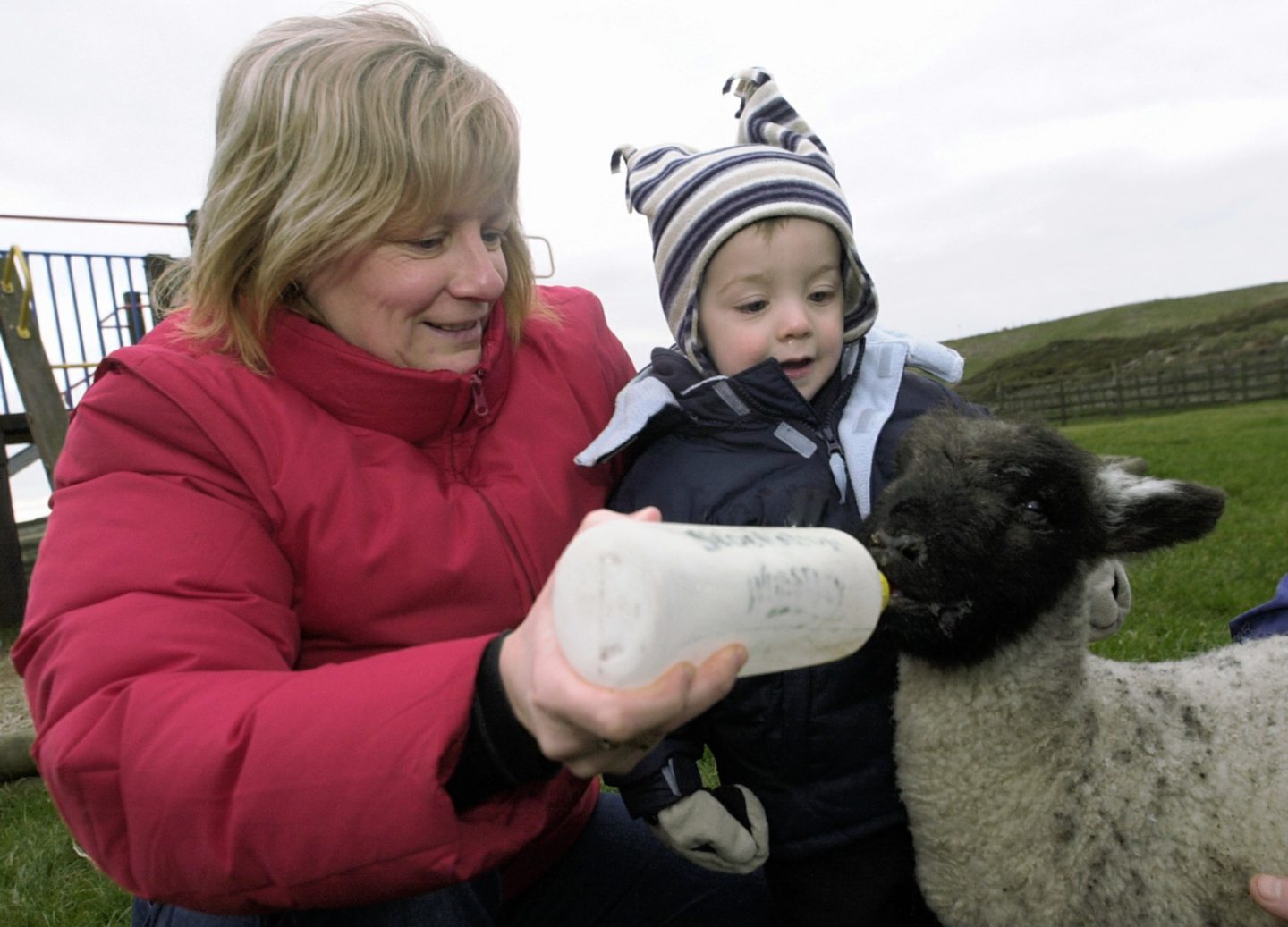 Young boy feeding a newborn lamb with his grandmother at Aberdeen's Doonies Farm in 2003.