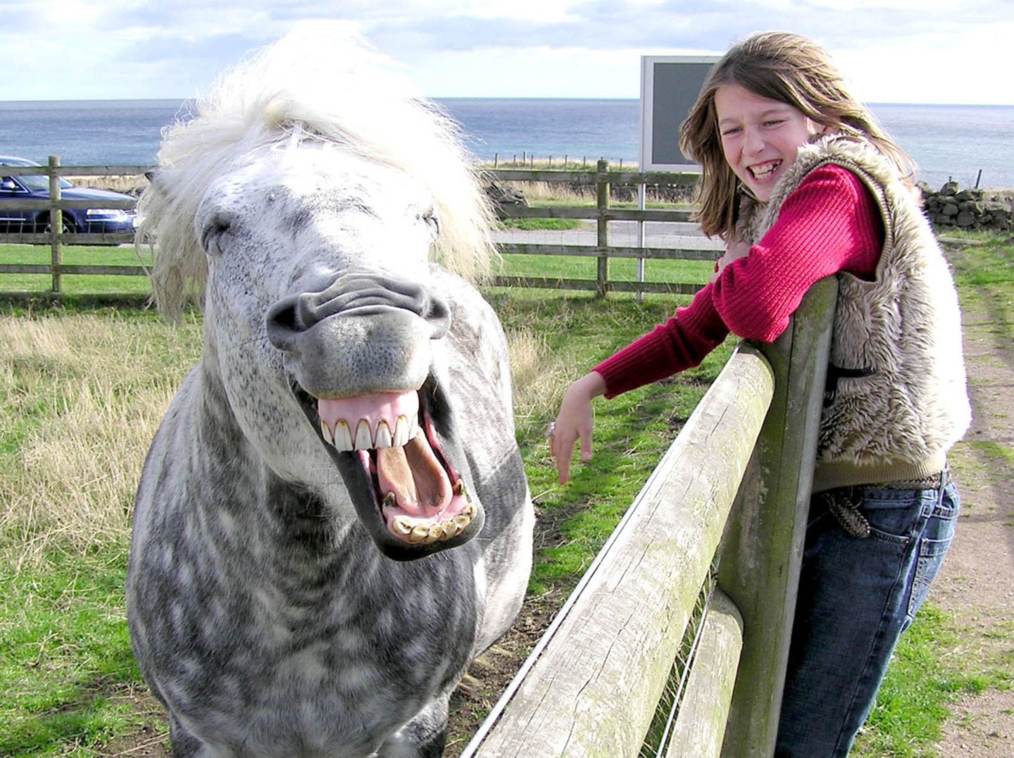 Young girl from Inverurie smiles with a happy pony in 2005.