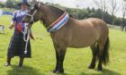 Grace of Altnacailleach was picked out as the champion of champions at Caithness Show.