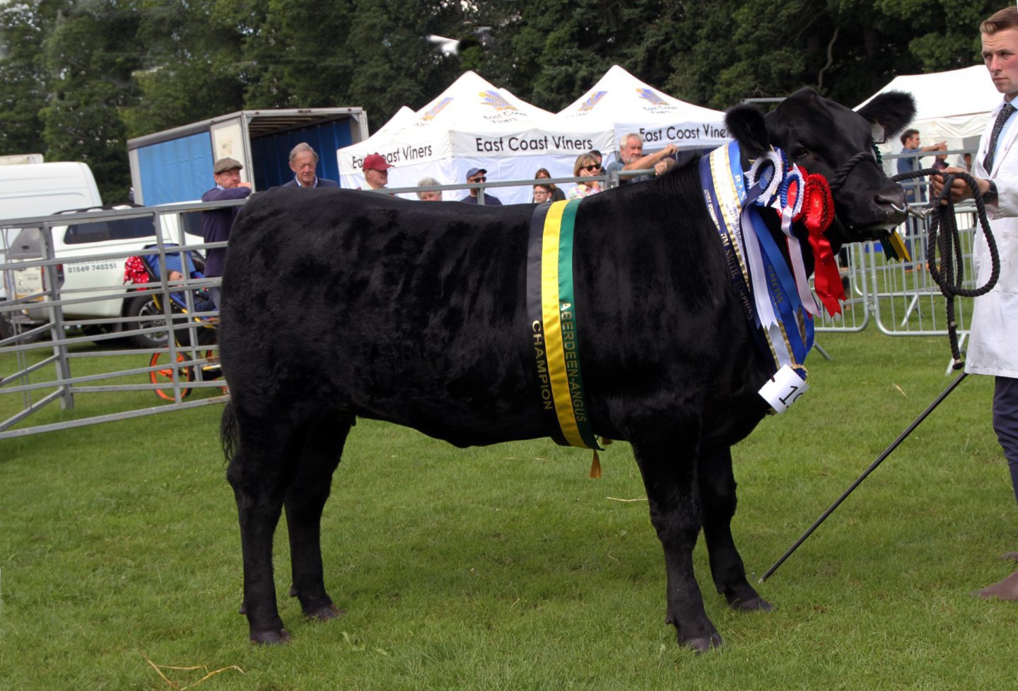 Sarah-Jane has a day to remember at the Black Isle Show - Press and Journal