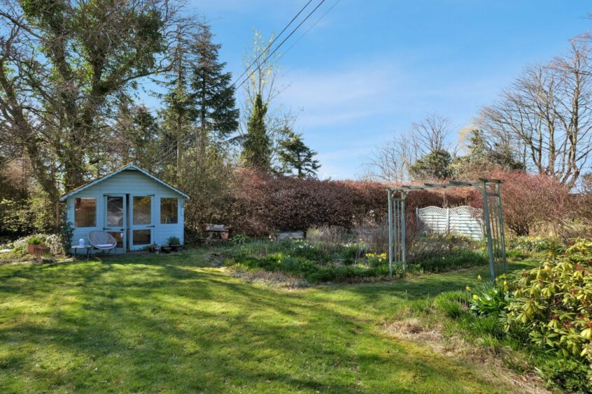 The large garden with lots of greenery, a wooden trellis and shed