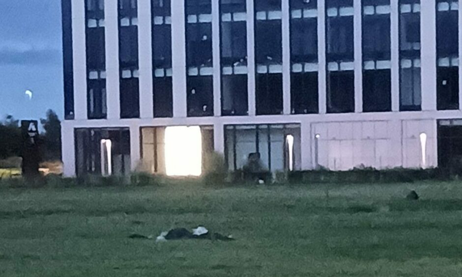 Pile of rubbish on grass with building in the background.