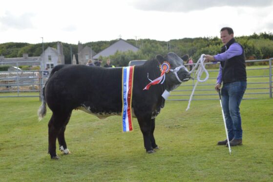 The overall honours in the cattle went to a home-bred yearling heifer from Frazer Leslie, Odinstone.