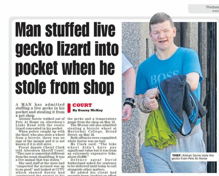 An Evening Express article from 2018 about Aberdeen gecko thief Alistair Sorrie, with the headline reading 'Man stuffed live gecko lizard into pocket when he stole from shop'