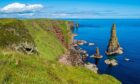 The rugged cliffs of Duncansby Head in Caithness.