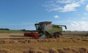 Ben and Harriet’s yield for winter barley across the farm was well below their average, due to a cold wet spring and unsettled July.