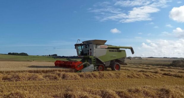 Ben and Harriet’s yield for winter barley across the farm was well below their average, due to a cold wet spring and unsettled July.