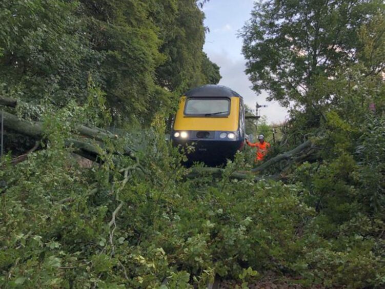 Train blocked by fallen tree. A man deals with the tree.