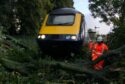 Train blocked by fallen tree. A man deals with the tree.