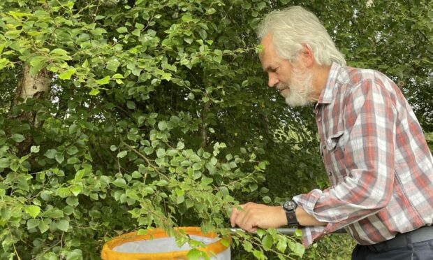 Ian Strachan collecting insects at  Loch Arksaig