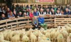 Buyers gather round the ringside for the landmark sale of North Country Cheviot lambs. Image: Jason Hedges/DC Thomson