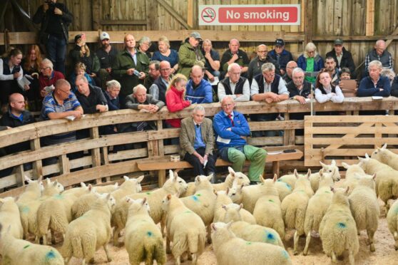 Buyers gather round the ringside for the landmark sale of North Country Cheviot lambs. Image: Jason Hedges/DC Thomson