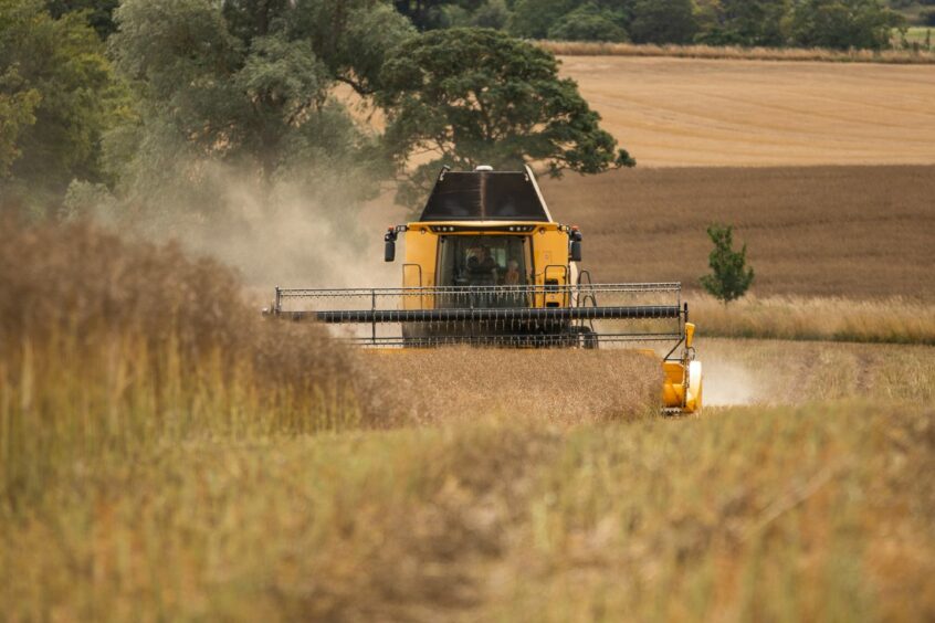 Combine harvester