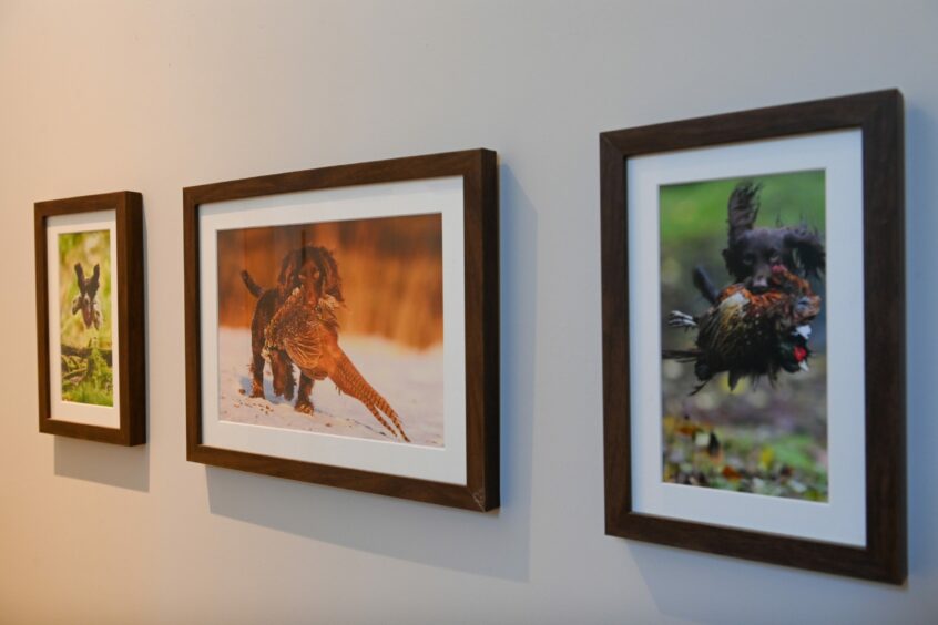 Photos of the Aberdeenshire couple's adorable Cocker Spaniels Baxter and Mabel hung on the walls of the renovated farmhouse.