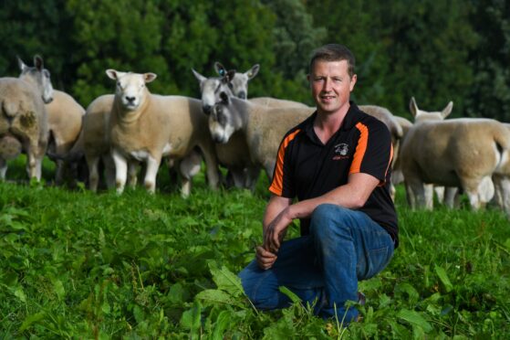 Matthew Seed from Home Farm, Auchry, Cuminestown, will be heading to the Kelso Ram Sales with Texels and Bluefaced Leicesters. Image: Kenny Elrick/DC Thomson