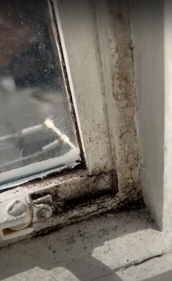 Abigail's window would be "completely black within weeks" if she didn't wash the mould off every week. Image: Abigail Watt