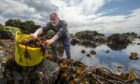 Pete Higgins, chief executive of Seaweed Enterprises, gets stuck into his first harvest.