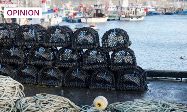 Lobster pots in Peterhead, which is to host a new seafood festival (Image: richardjohnson/Shutterstock)