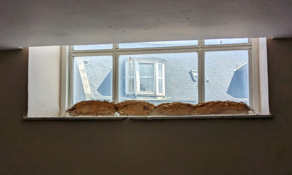 Wood on the window sill inside a communal hall in Rosemount Square are warped from the water ingress and damp. Image: Alastair Gossip/DC Thomson