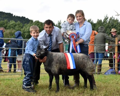 Winning champion of champions was Jack and Andrew's two-crop Blue Texel ewe Shawtonhill Eye Candy.