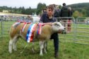 Roy and Gillian Adams won the sheep inter-breed with their home-bred Texel gimmer.