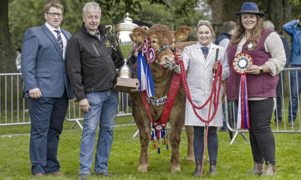 The Nimmos won the Scottish Limousin Grand Prix with Maraiscote Tangerine. Image: Ron Stephen