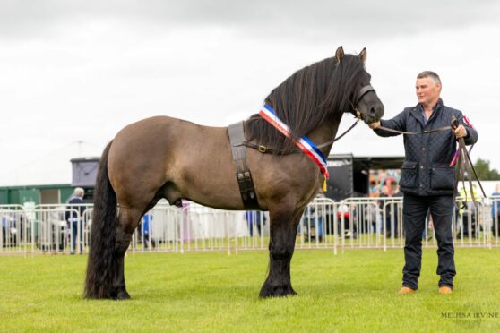 Trailtrow Teviot from Fiona Menzies was crowned champion of champions.