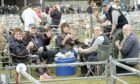 To go with story by Katrina Macarthur. Exhibitors enjoy a break Picture shows; Exhibitors. Black Isle Show. Supplied by Ron Stephen Date; 03/08/2023