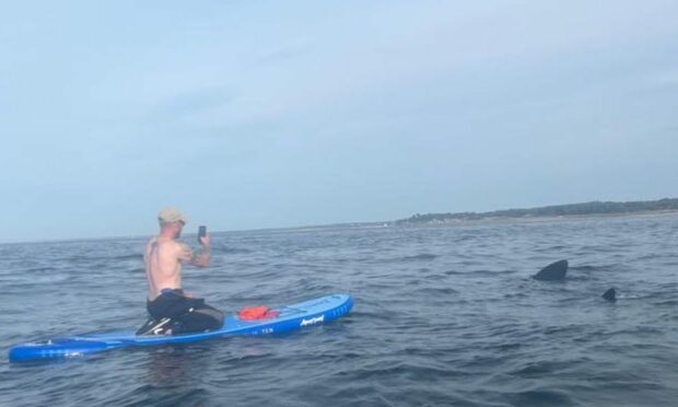 Connel Gresham sitting on paddleboard being circled by a shark. He is taking a photo of it on his mobile phone.