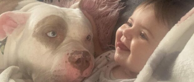 Samantha Wood's daughter with her XL bully.